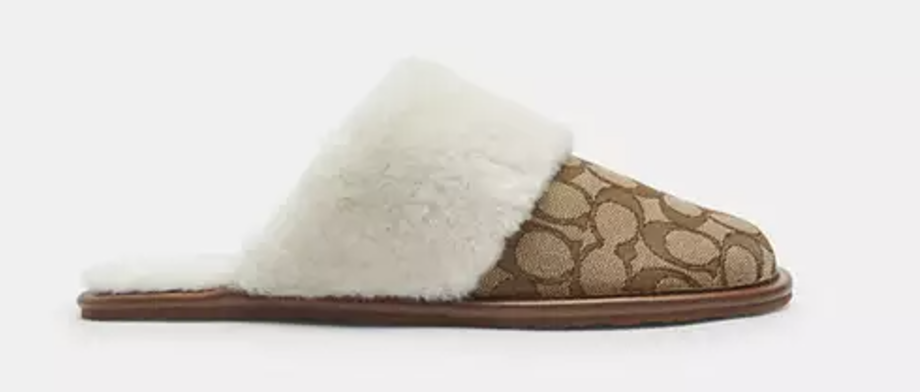 Screenshot 2024 11 28 at 6 28 07 AM